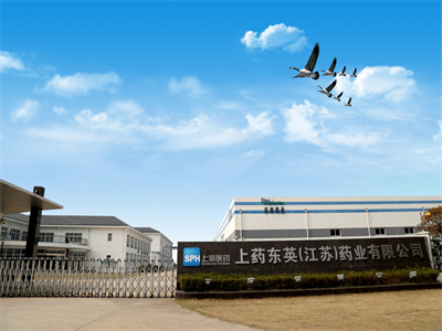 上海東英（江蘇）藥業(yè)_6S管理咨詢案列