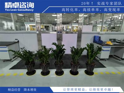 打造高效的目標(biāo)管理系統(tǒng)的關(guān)鍵步驟