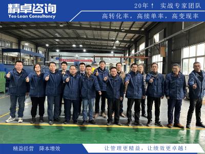 6S項(xiàng)目管理實(shí)施流程與成功案例分析