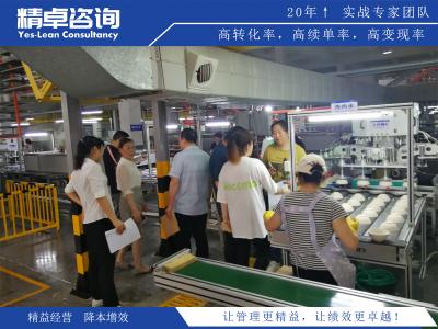 工廠管理制度優(yōu)化與執(zhí)行細則案例研究：構(gòu)建高效生產(chǎn)體系的策略解析