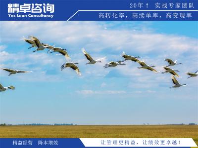 精細(xì)化管理基本內(nèi)容與實(shí)施要點(diǎn)詳解